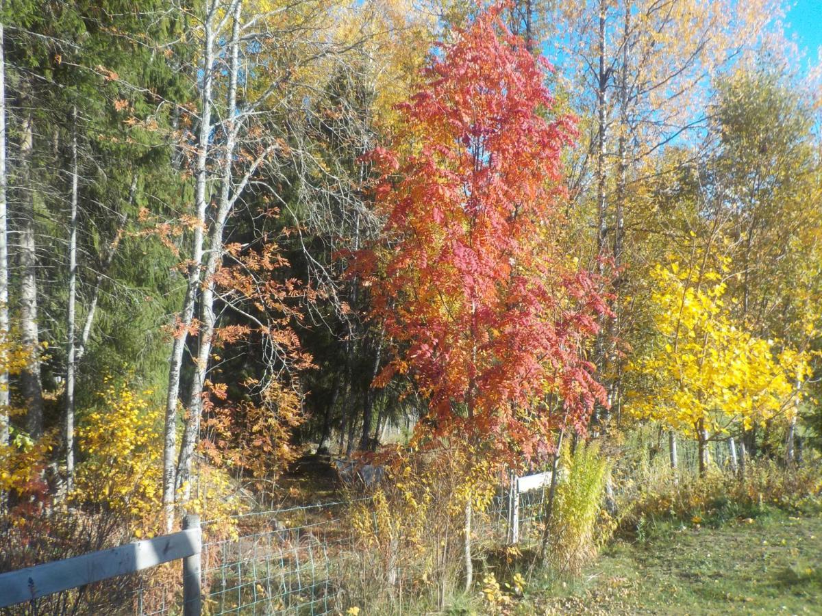 Lovelund Farm. Cottageハーグフォシュ エクステリア 写真